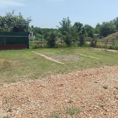 Crystal Apartment Umag Bagian luar foto